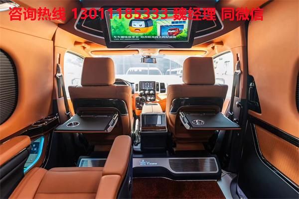装方案价格参考丰田海狮全系现车爱游戏app登录丰田海狮各个改(图4)