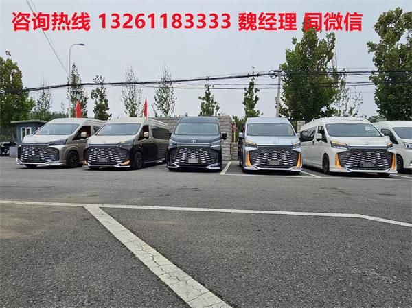 PV 海狮9座大尺寸商务车卖价爱游戏平台进口丰田海狮蓝牌M(图5)