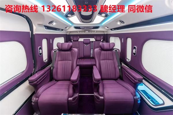 PV 海狮9座大尺寸商务车卖价爱游戏平台进口丰田海狮蓝牌M(图4)